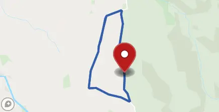 course